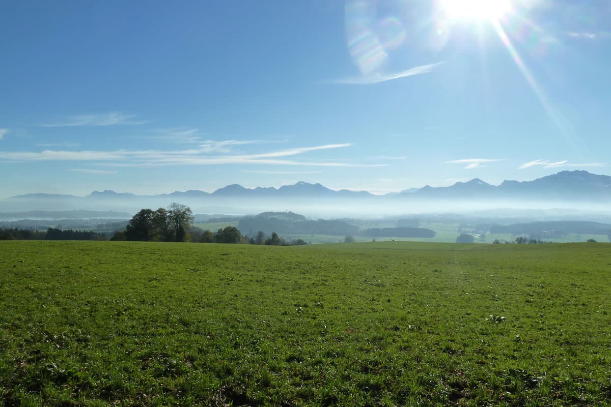 Sonnige Wiese im Chiemgau mit Bergkette im Hintergrund.