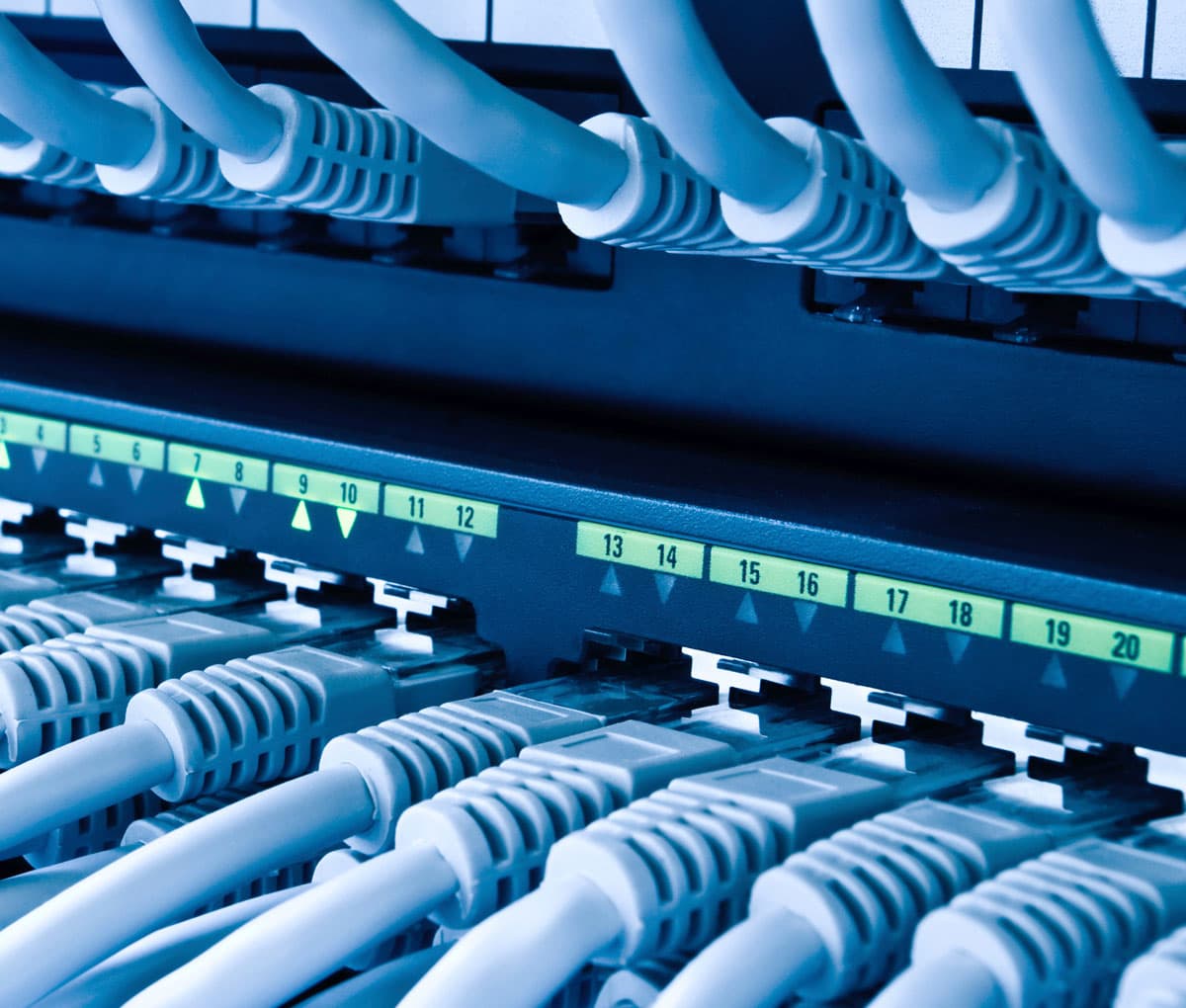 Netzwerkkabel stecken in einem Switch mit nummerierten Anschlüssen.